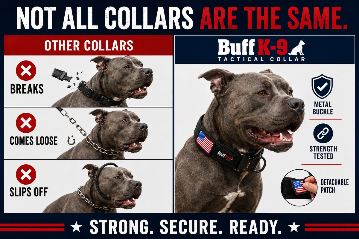 Heavy Duty Tactical Big Dog Collar with Metal Buckle - BuffK-9