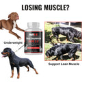 True Champion Dog 2.0 (30 serving caps)