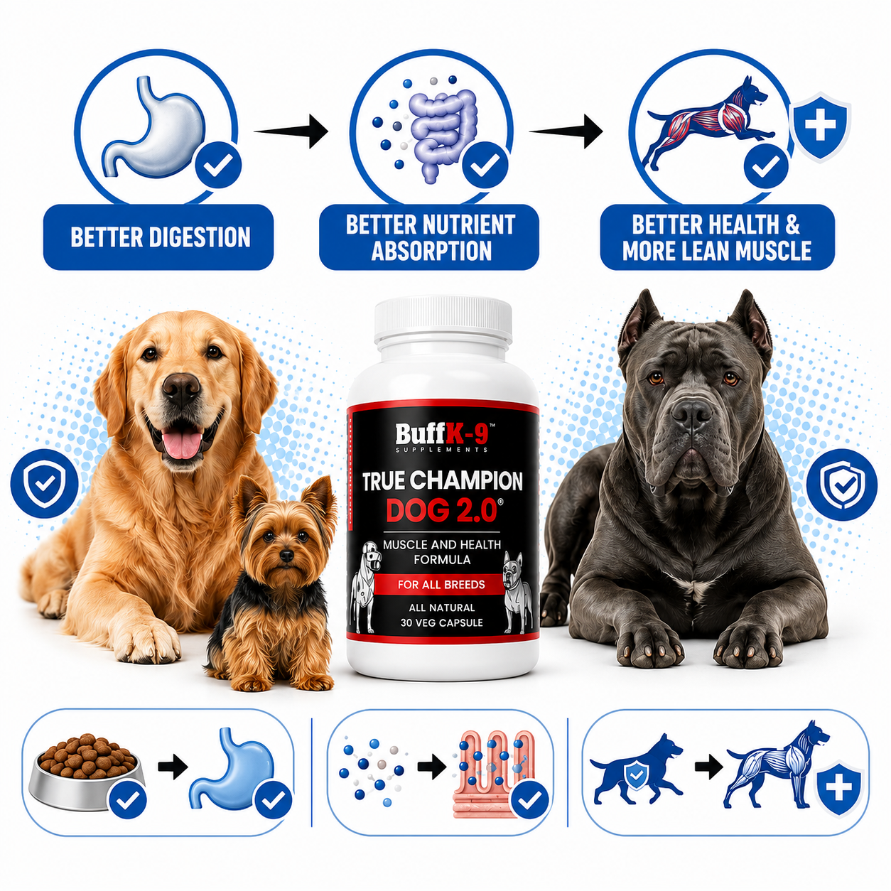 True Champion Dog 2.0 (30 serving caps) - BuffK-9