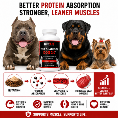 True Champion Dog 2.0 (30 serving caps) - BuffK-9