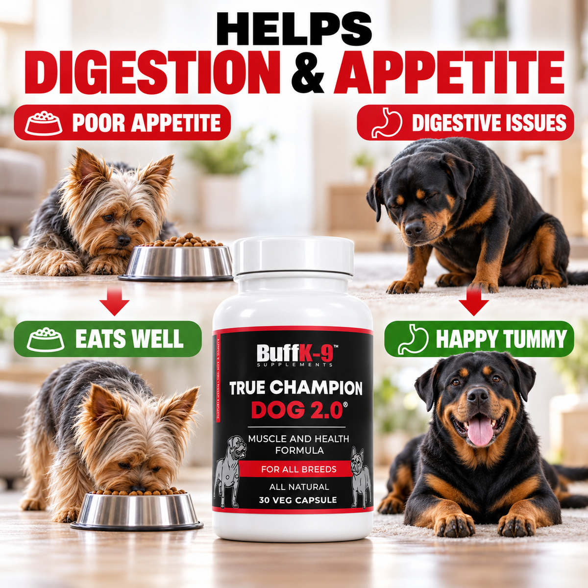 True Champion Dog 2.0 (30 serving caps) - BuffK-9