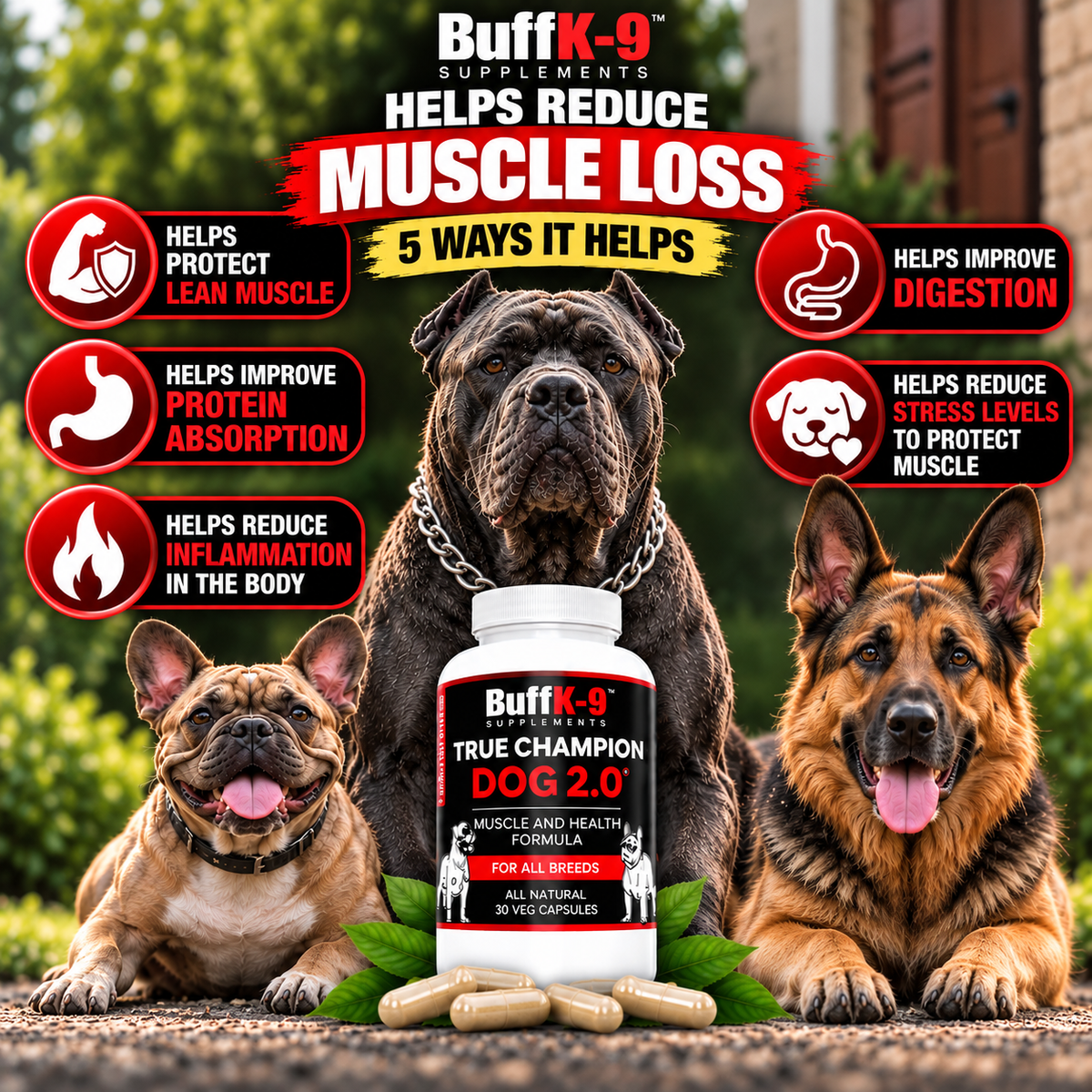 True Champion Dog 2.0 (30 serving caps) - BuffK-9