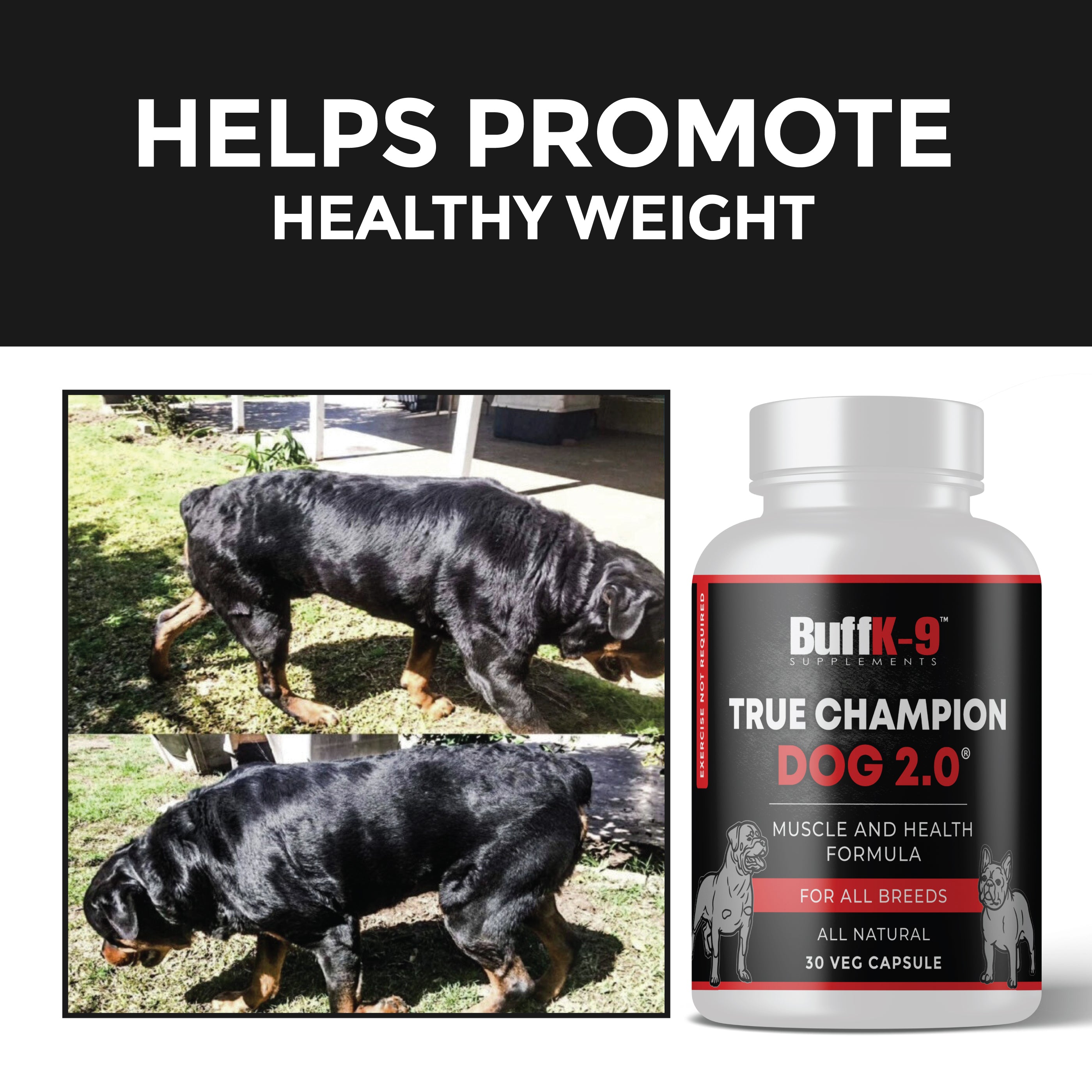 True Champion Dog 2.0 (30 serving caps)