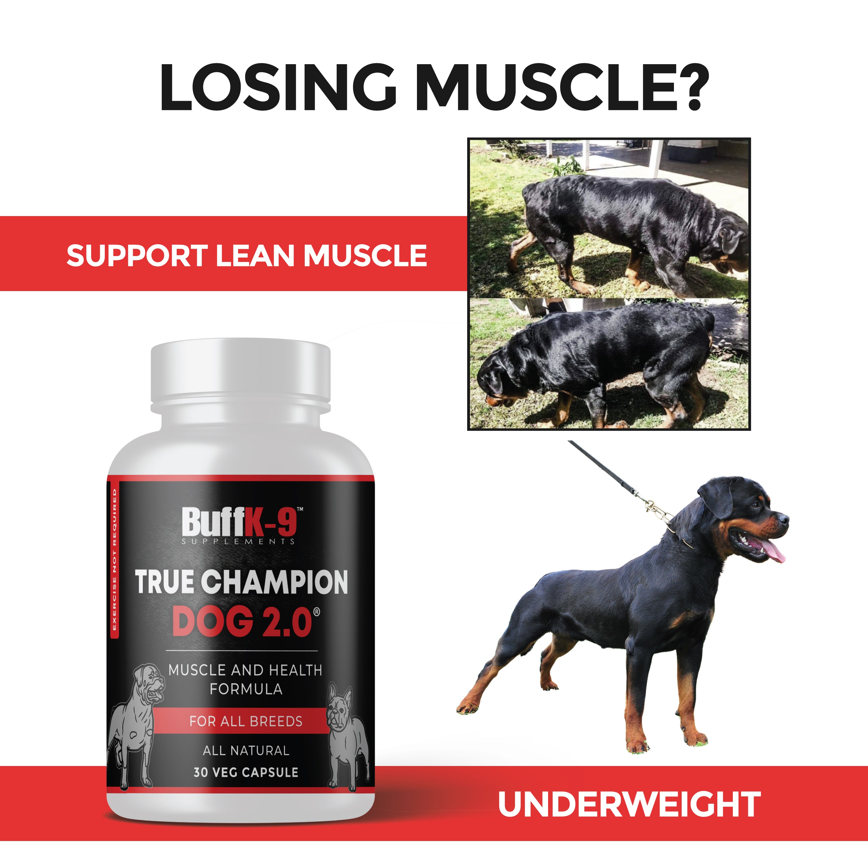 True Champion Dog 2.0 (30 serving caps)