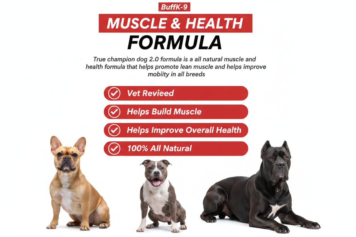 Buffk-9 muscle support supplements with healthy active dogs