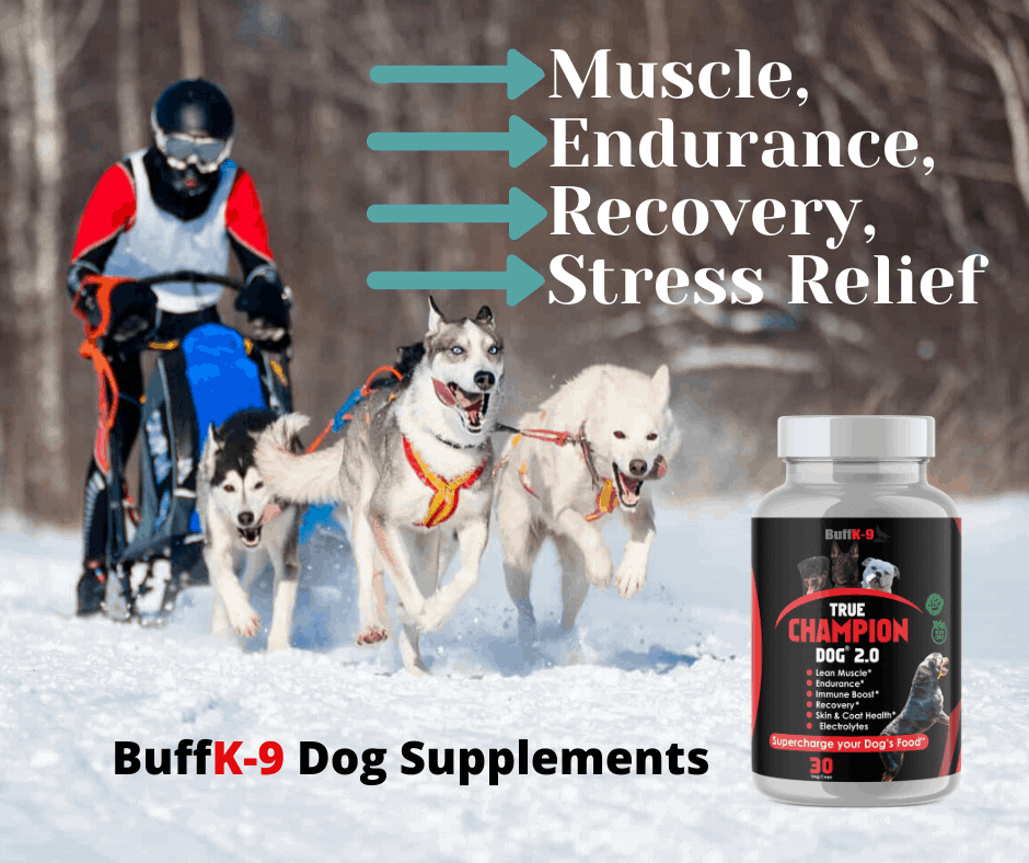 buff k9 weight pull dogs power strength agility recovery supplements