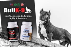 Vitamins for Pitbulls and ALL Dogs by BuffK 9 Muscle Weight Gain