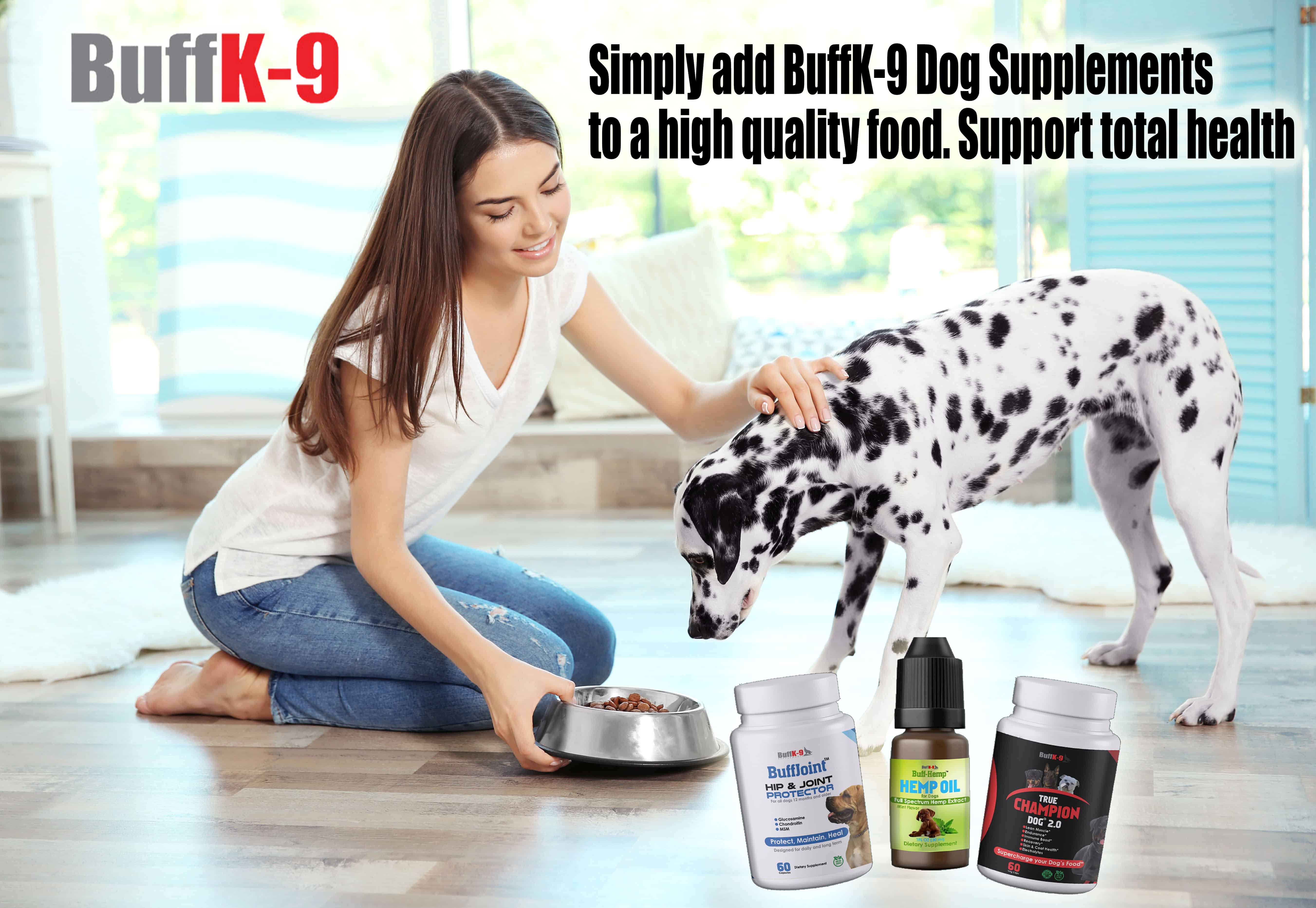 best dog food supplement